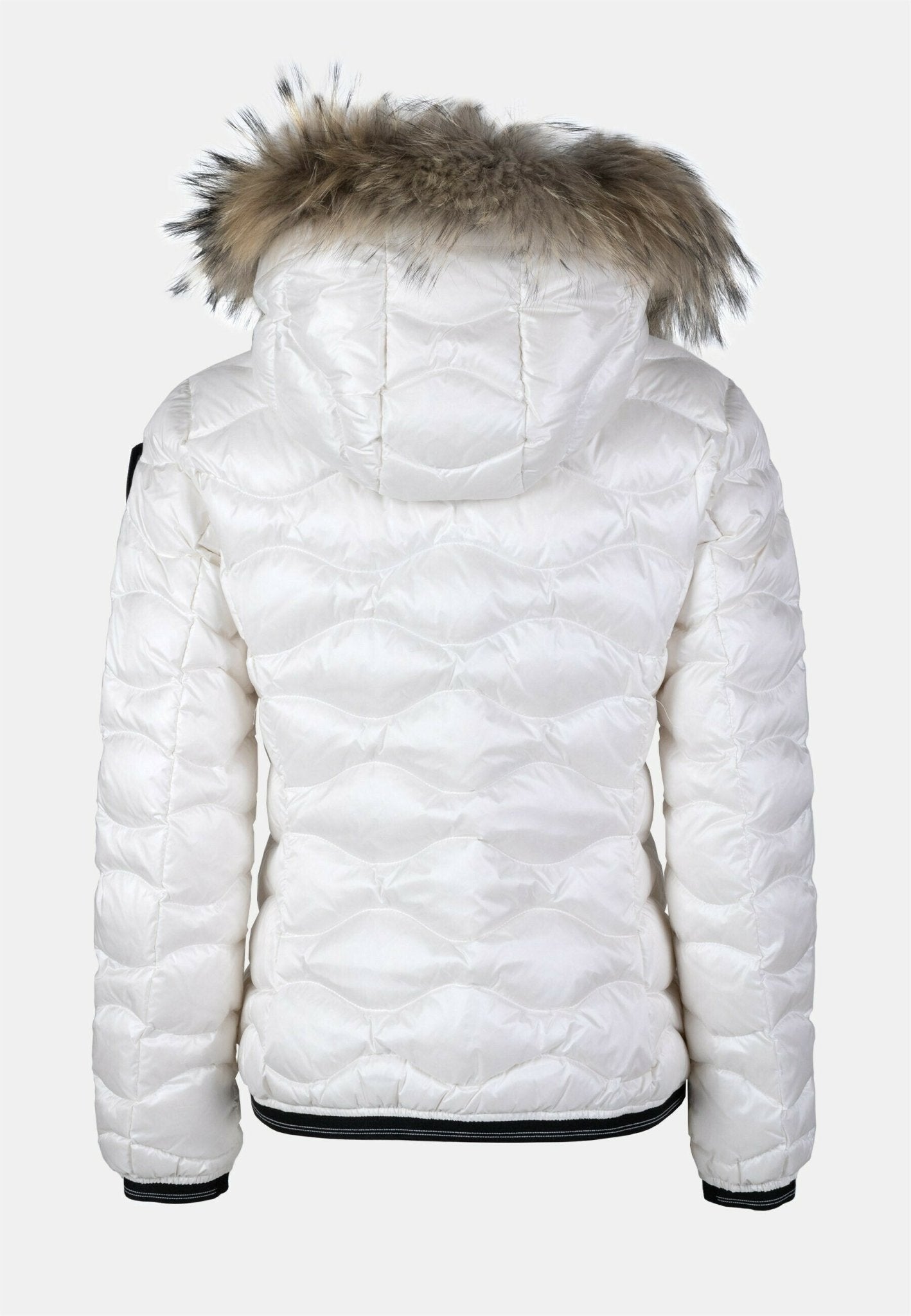 Blauer - Fashionroom