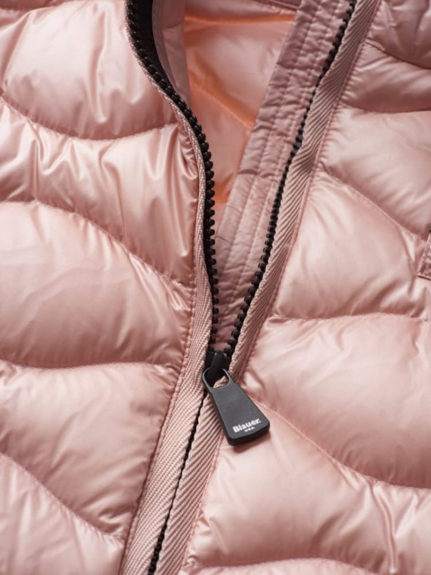 Blauer - Fashionroom