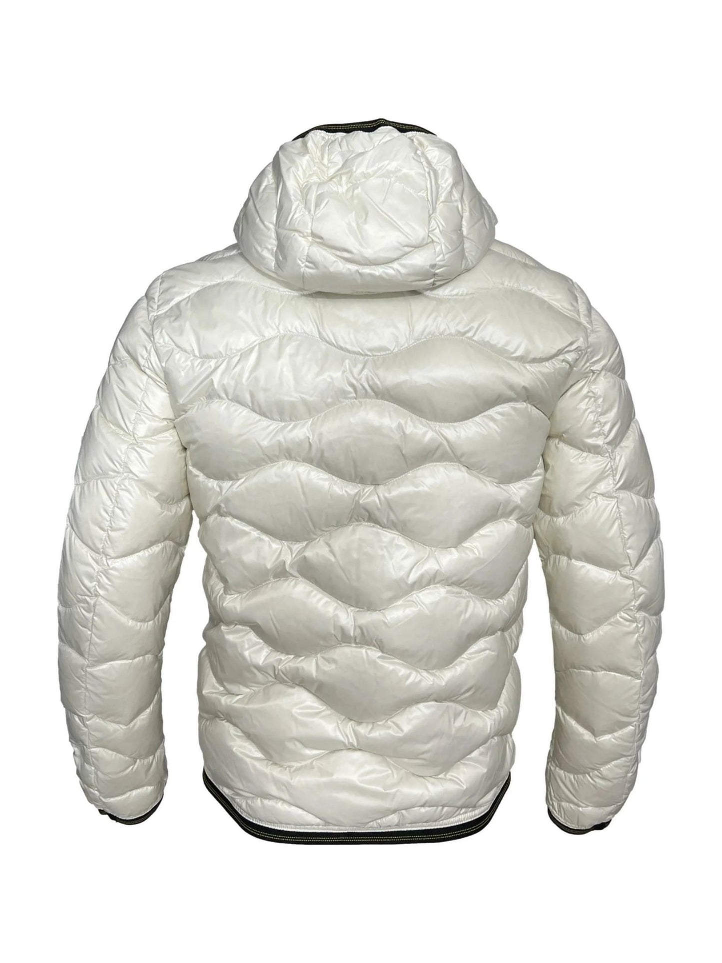 Blauer - Fashionroom