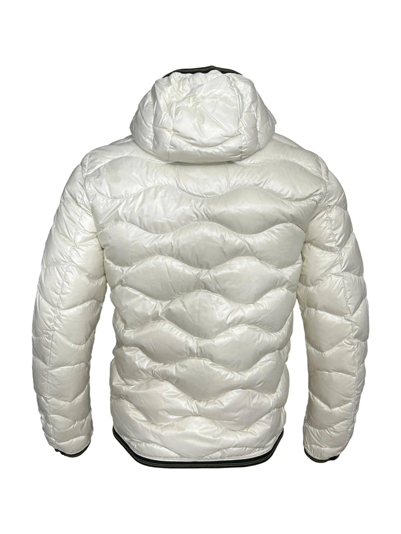 Blauer - Fashionroom